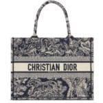 Dior Embroidered Luxury Bag
