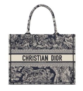 Dior Embroidered Luxury Bag