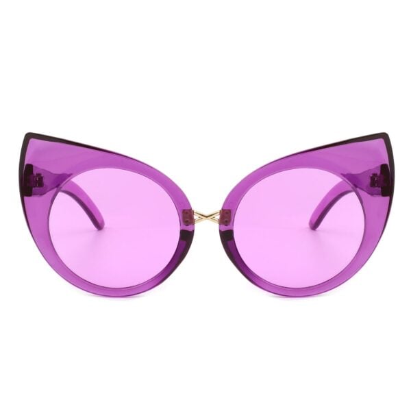 Iridessa - Retro Oversized Cat Eye Sunglasses High Pointed 6