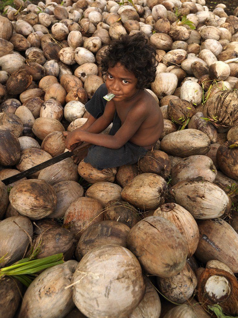 Children Working With Coconuts