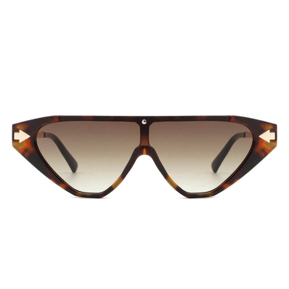 Cramilo Eyewear Zedillia Triangle Retro Sunglasses 9