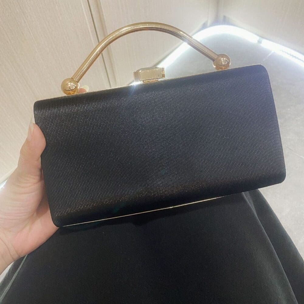 Shomico Party Bag Simple But Gorgeous