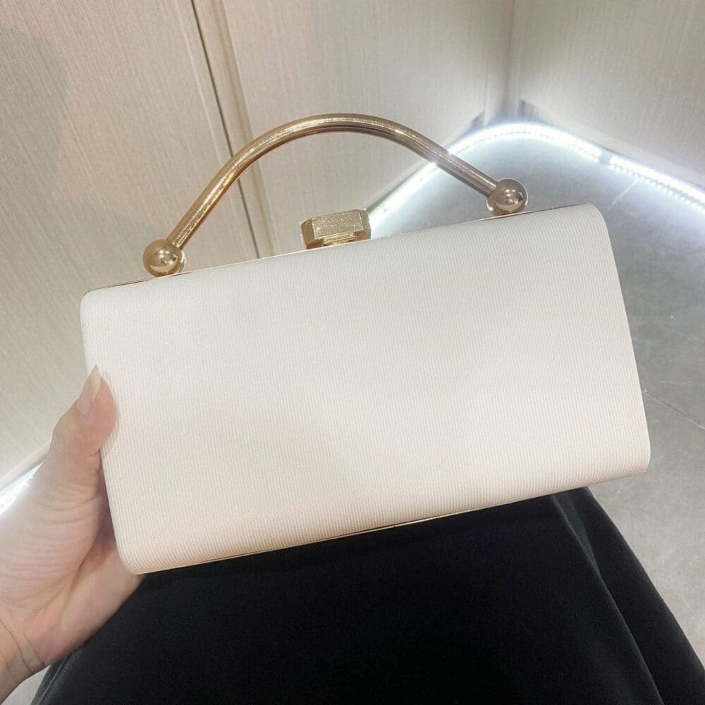 Shomico Party Bag Simple But Gorgeous 2