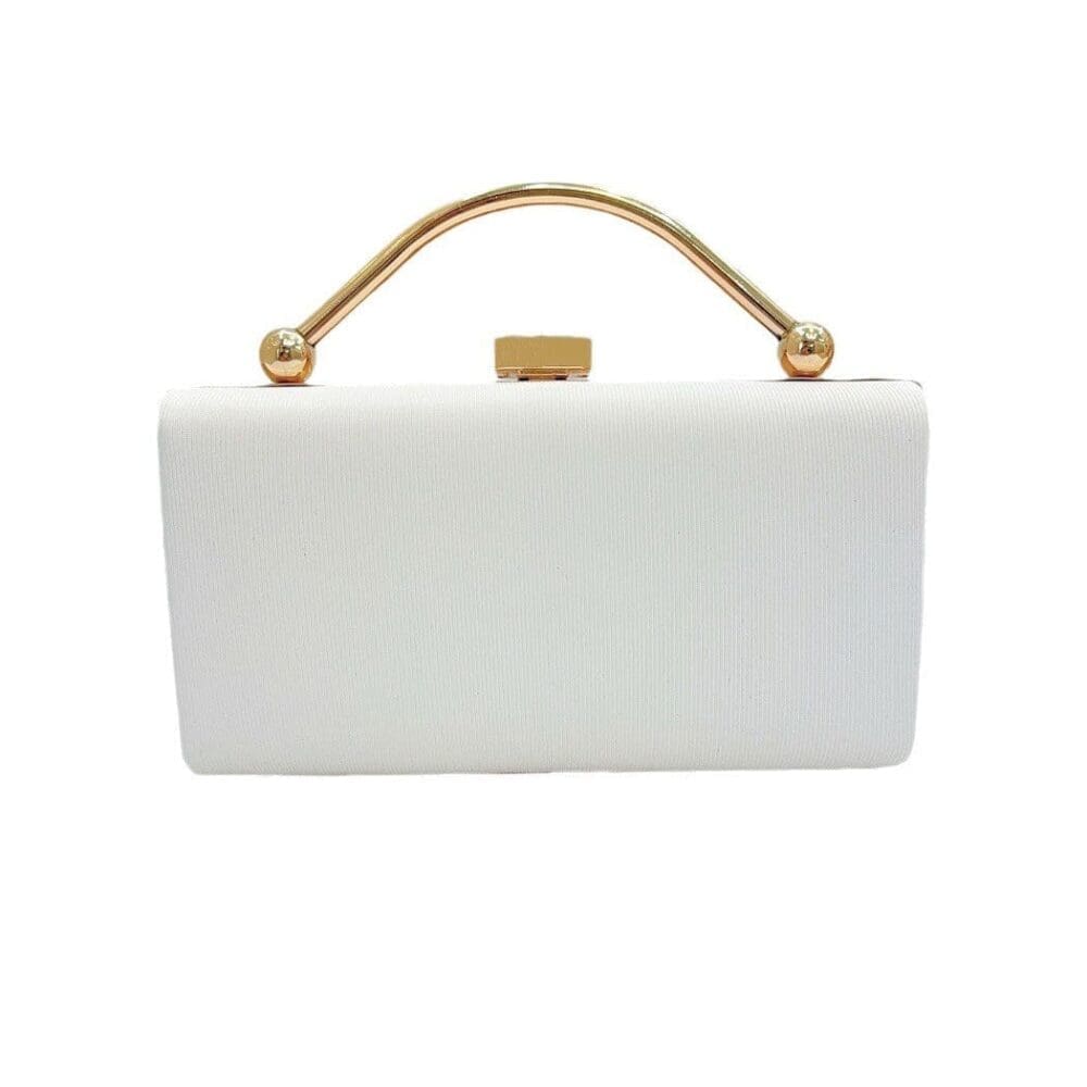 Shomico Party Bag Simple But Gorgeous 4