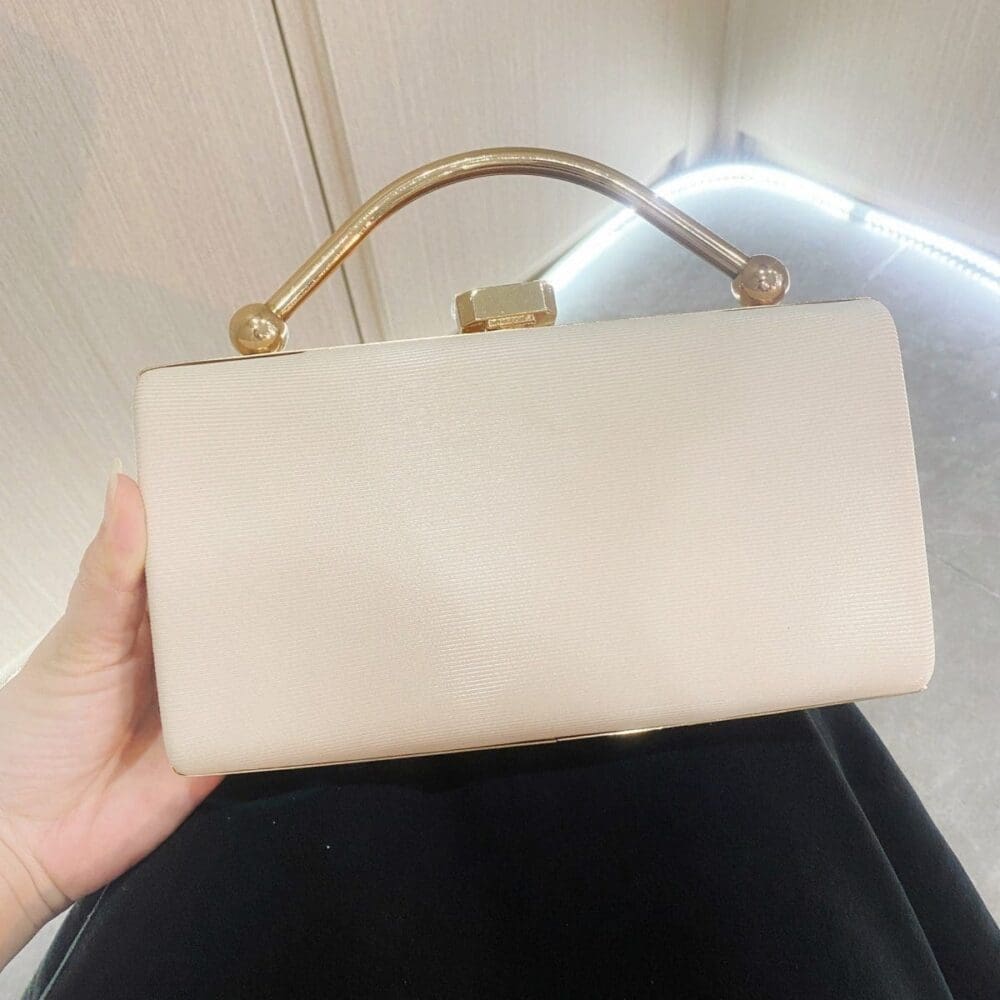 Shomico Party Bag Simple But Gorgeous 5