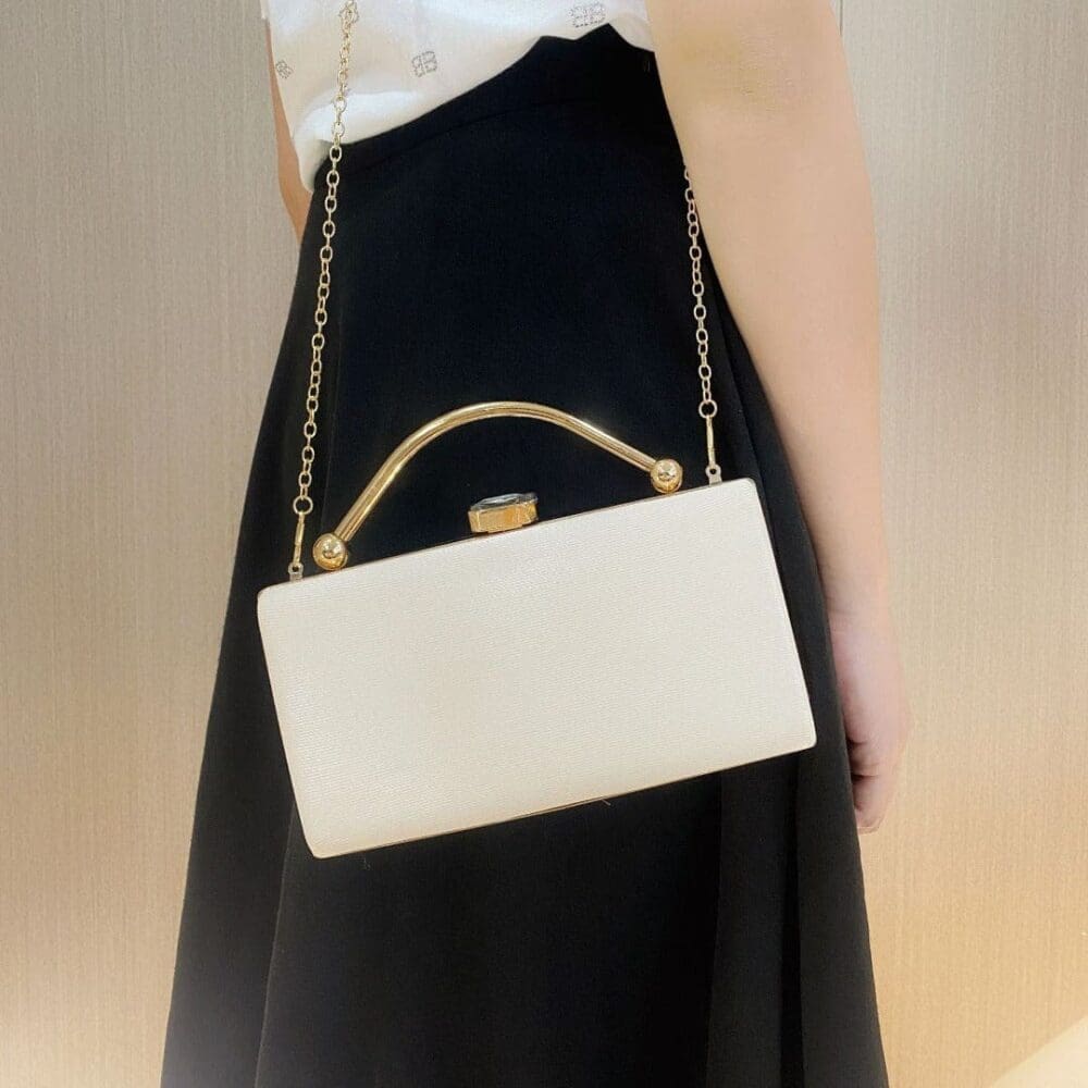 Shomico Party Bag Simple But Gorgeous 6